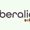 Negocio Iberalia Solar
